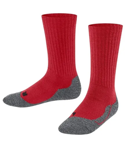 Unterwäsche & Socken Rot von FALKE