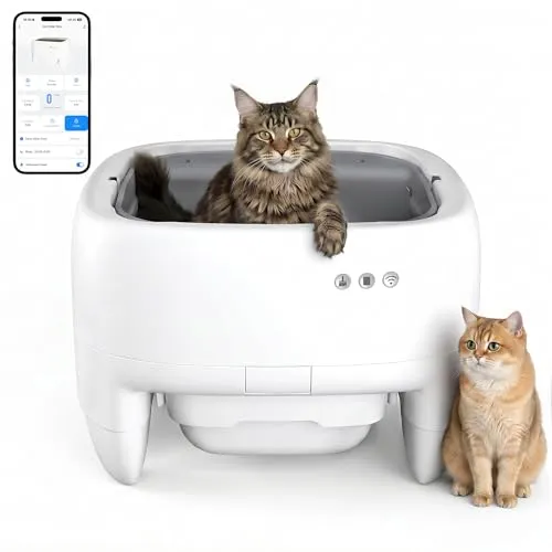 JUMMICO Elektrisches Katzentoilette Selbstreinigend – XXL für große Katzen