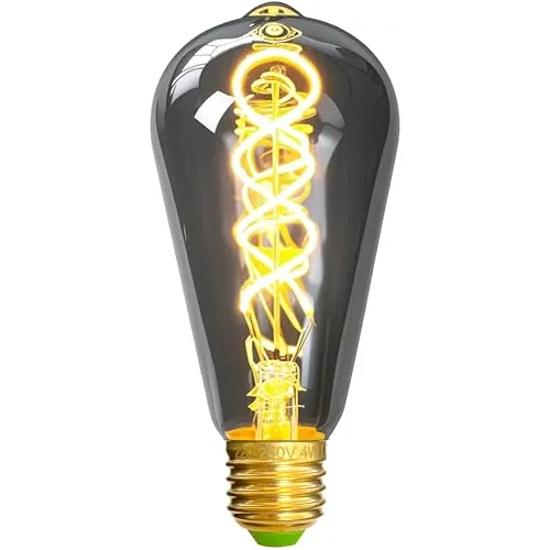 TIANFAN LED-Lampen Vintage Glühbirne 4W Dimmbares Rauchglas 2700K Warmweiße Edison-Schraube E27 Sockel 220 / 240V Dekorative Lampen (ST64)
