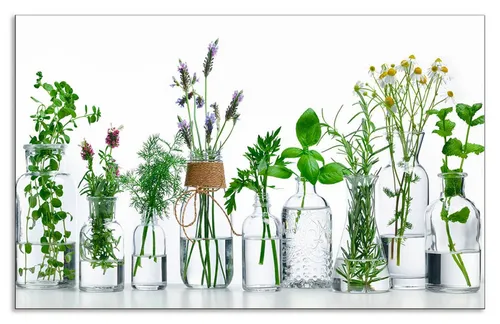 Artland Küchenrückwand Öle mit Kräutern, 80x50 cm in grün von ARTland