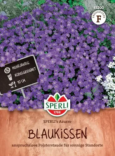 Sperli Blaukissensamen SPERLI's Azurro - Mehrjährige Blumensamen für Steingarten, Wuchshöhe 40-60cm, Ideal für Beete & Töpfe, Frühblühende Polsterstaude