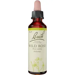 Produktbild Bachblüte Wild Rose 20 ml