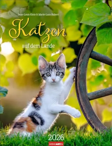 Katzen auf dem Lande Kalender 2026: Süße Kätzchen in ländlicher Idylle: Ein Foto-Kalender zum Dahinschmelzen. Planer mit Platz zum Eintragen. Hochformat 30 x 39 cm (Tierkalender Weingarten)