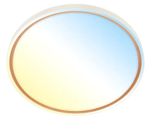 LED Deckenlampe Dimmbar mit Fernbedienung 48W Ø49cm Coffee