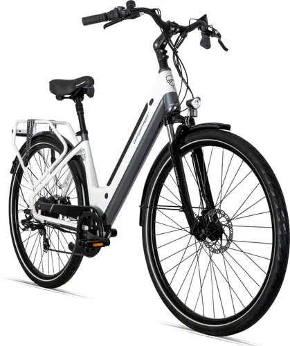 bergsteiger E-Bike Cityrad Hampton 28 Zoll von Bergsteiger