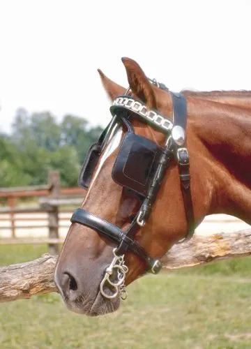 AMKA Kopfgestell, Kaltblut