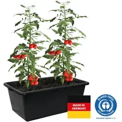 Friesenthal Mörtelkasten mit Deckel 90 Liter in grün von Handelsunternehmen Friese