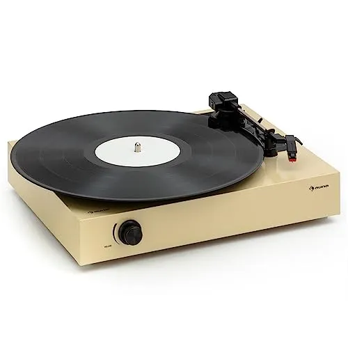 Auna Plattenspieler mit Lautsprecher - Retro DIY Set - Plattenspieler im Retro-Design mit externen Stereo-Lautsprechern für bombastischen Klang und Auto-Stopp-Funktion zum Schutz deiner Schallplatten.