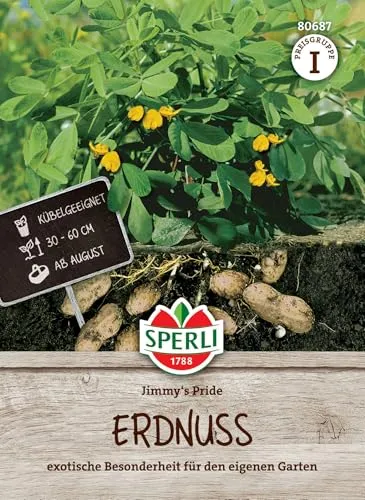 Sperli Erdnusssamen Jimmy's Pride 80687 von SPERLI