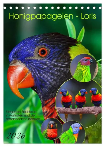 Calvendo | Honigpapageien