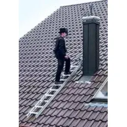 MUNK Dachleiter rot 15 Sprossen von Günzburger