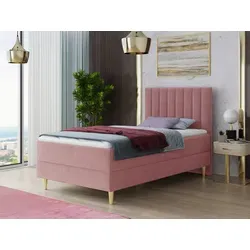 Boxspringbett Gold Mini mit Bettkasten und Topper in gold von Sofnet