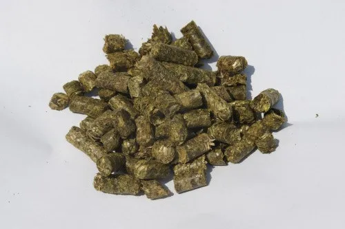 Edelgrün Grünhaferpellets 20 kg - Pferdefutter, nährstoffreich und ideal für die gesunde Ernährung von Pferden