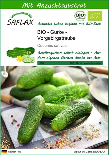 SAFLAX Gemüsesamen SAFLAX - Samen und Substrat - BIO - Gurke - Vorgebirgstraube