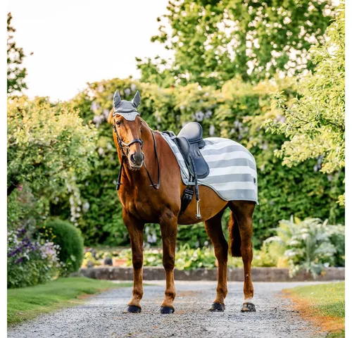 Horseware Ausreitdecke Horseware Newmarket Exercise Sheet