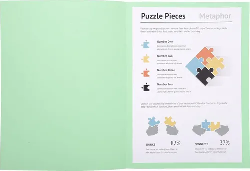 EXACOMPTA Aktendeckel SUPER 160 DIN A4 hellgrün 100 Aktendeckel