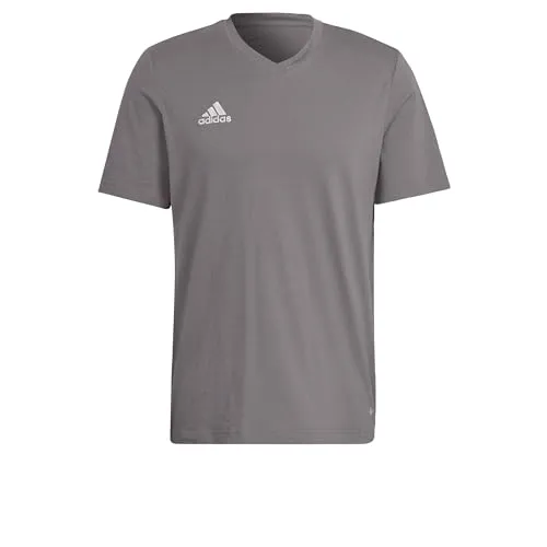 adidas Herren Entrada 22 Tee, Team Grey Four, M