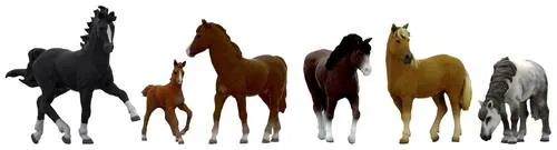 NOCH Z Pferde Fertigmodell