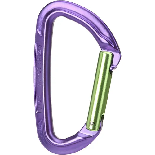 Wild Country Session Straight Karabiner (Größe One Size, purple-green)