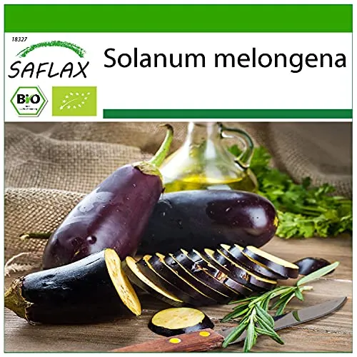 SAFLAX - BIO - Aubergine - Long Purple - 20 Samen - Mit keimfreiem Anzuchtsubstrat - Solanum melongena
