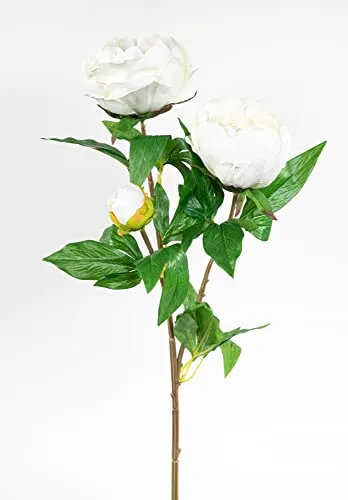 Künstliche Pfingstrose Nature 68cm weiß mit 3 Blüten GA – Realistische Kunstblume aus Textilfaser – Dekozweig für Vase & Strauß – Hochwertige Seidenblume wie echt
