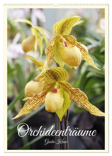 Gisela Kruse | Orchideenträume Wandkalender 2026 - Brillanter Wandkalender im DIN A2 Format, ideal für Pflanzenliebhaber. Mit wunderschönen Orchideenbildern, die jeden Raum verschönern. Perfekt als Jahresbegleiter für Gartenfreunde.