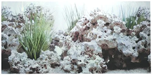 Amtra Croci Rückwandfolie 80 cm x 45 cm Aquarien Rückwand Hintergrund Dekoration Poster
