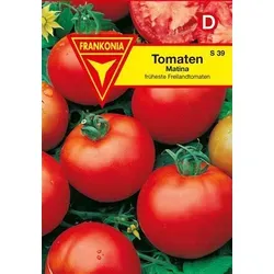 Tomate Matina