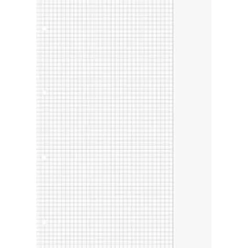 Ringbucheinlage kariert A4 m.Rand von Blöcke-Hefte