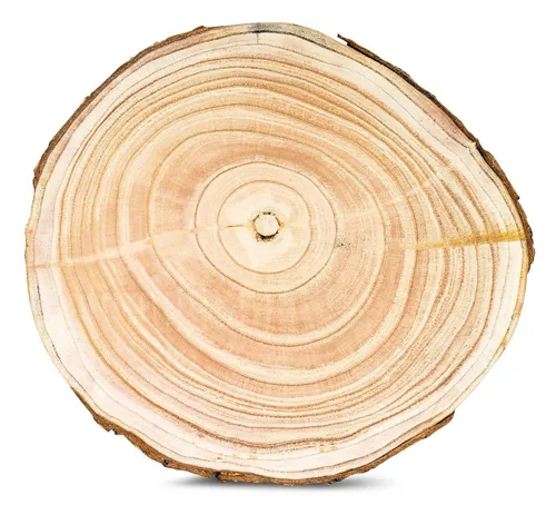 Levandeo® Dekoobjekt, Baumscheibe Deko-Platte Ca. Ø 29cm Holz-Scheibe Naturbelassen