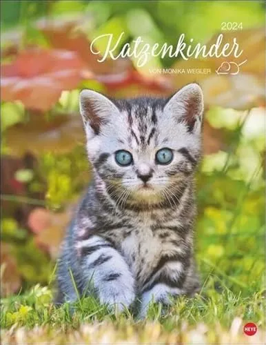 Katzenkinder Posterkalender 2024 von Monika Wegler. Unwiderstehliche Katzenbabys im Porträt. Ein großer Wandkalender mit vielen Fotos und Geschichten. Dekorativer Katzen-Kalender.