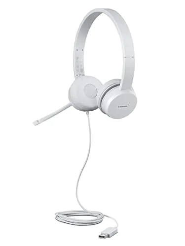 Lenovo 110 Stereo USB Headset in grau von Lenovo
