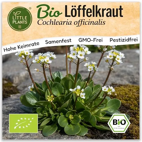 Saatgut von Little Plants