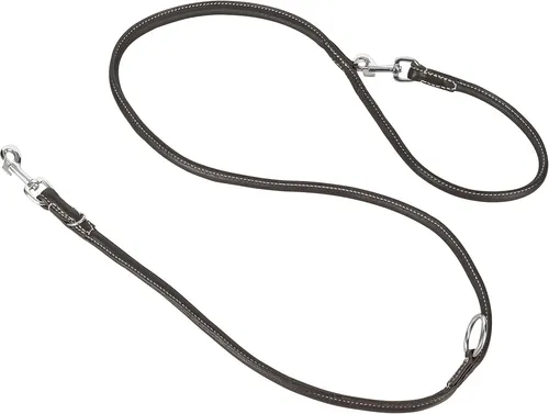 Schnüffelfreunde Hundeleine aus Leder - Führleine 2,0 m - Braun