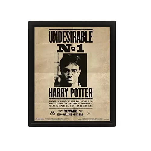 HARRY POTTER Poster in 3D (Undesirable Number 1 Design) 3D Lenticular Poster in Rahmen 25cm x 20cm x 1.5cm, HARRY POTTER Geschenke für Mädchen und Jungen - Offizielles Lizenzprodukt
