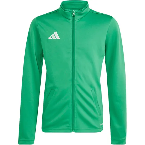 adidas Mäntel & Jacken Grün von adidas
