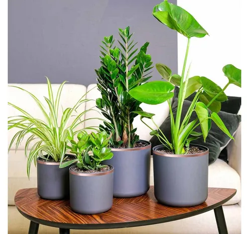 vidaXL Kupferband 6 Stück 2000 x 1 cm - Hochwertiges Kupferband für vielseitige Anwendungen in DIY-Projekten und Reparaturen. Mit starkem, doppelseitigem Kleber für sicheren Halt und flexibler Anpassung an verschiedene Formen.