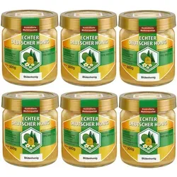 Wegmann Echter deutscher Honig aus Hessens Frühlingsblüten, natur 500 g (6er Pack)