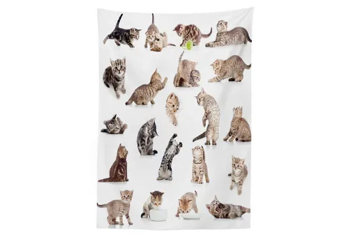 Abakuhaus Tischdecke Farbfest Waschbar Für den Außen Bereich geeignet Klare Farben, Katze Lustige Spielerische Katzen Bild