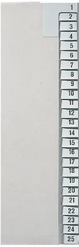 Esselte Leitz 1381-85 Registerserie A4