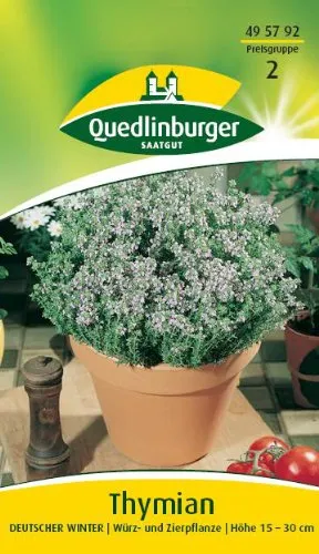 Quedlinburger Thymian ''Deutscher Winter'' von Quedlinburger