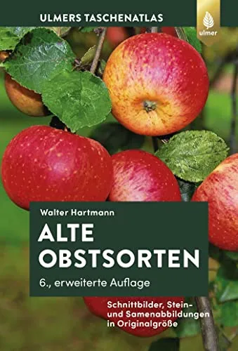 Alte Obstsorten: Schnittbilder, Stein- und Samenabbildungen in Originalgröße - Kräuter in Haus & Garten, entdecken Sie historische Obstsorten mit detaillierten Abbildungen in Originalgröße für Gartenliebhaber und Obstkenner.