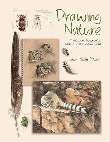 Drawing Nature: Der kreative Prozess eines Künstlers und Naturwissenschaftlers - Umweltwissenschaft – Entdecken Sie die faszinierenden Techniken und Einblicke eines Künstlers, der die Schönheit der Natur einfängt.