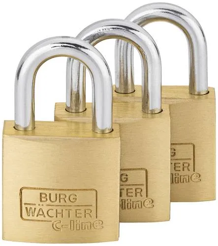 Burg Wächter 29921 Vorhängeschloss 20mm gleichschließend Messing Schlüsselschloss