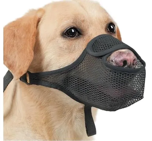 SHUOHONG Hunde Maulkorb, Nylon-Mesh, Atmungsaktiv und Bequem, Maulkorb Kleine Hunde mit Verstellbaren Trägern (Schwarz-S)