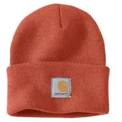 Hüte Orange von Carhartt