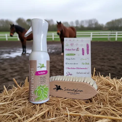 Bense & Eicke Geschenkset