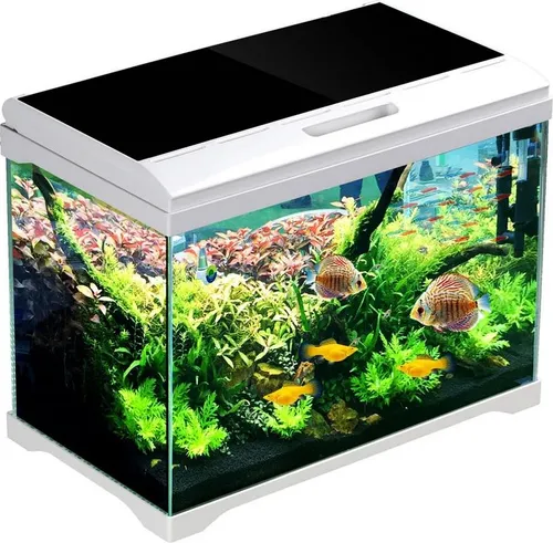 SunSun Supreme AquaPlant 19l Aquarium-Set