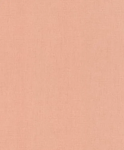 Rasch Tapeten von Rasch