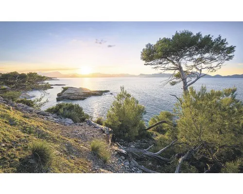 Komar Vliestapete Southern Light von Komar